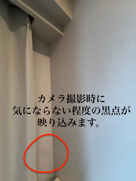 【訳あり品】iPhone13 Pro シエラブルー 128GB 電池残量81%